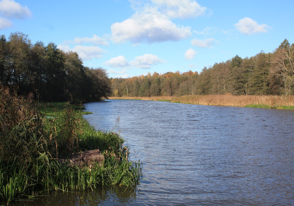 Masuria