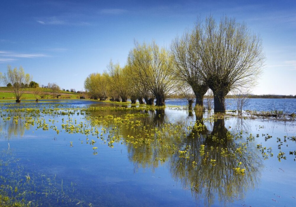 Biebrza National Park