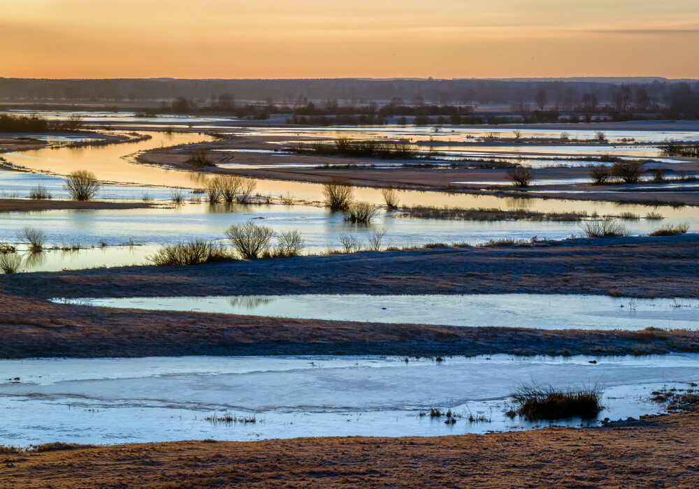 Biebrza National Park