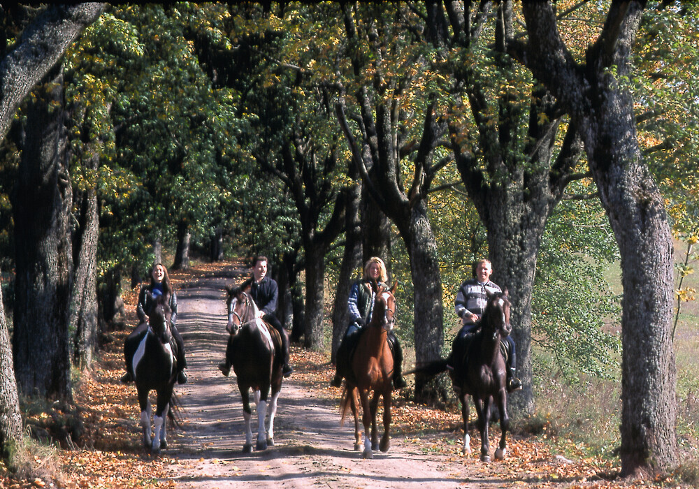 Horse riding trip in Masuria
