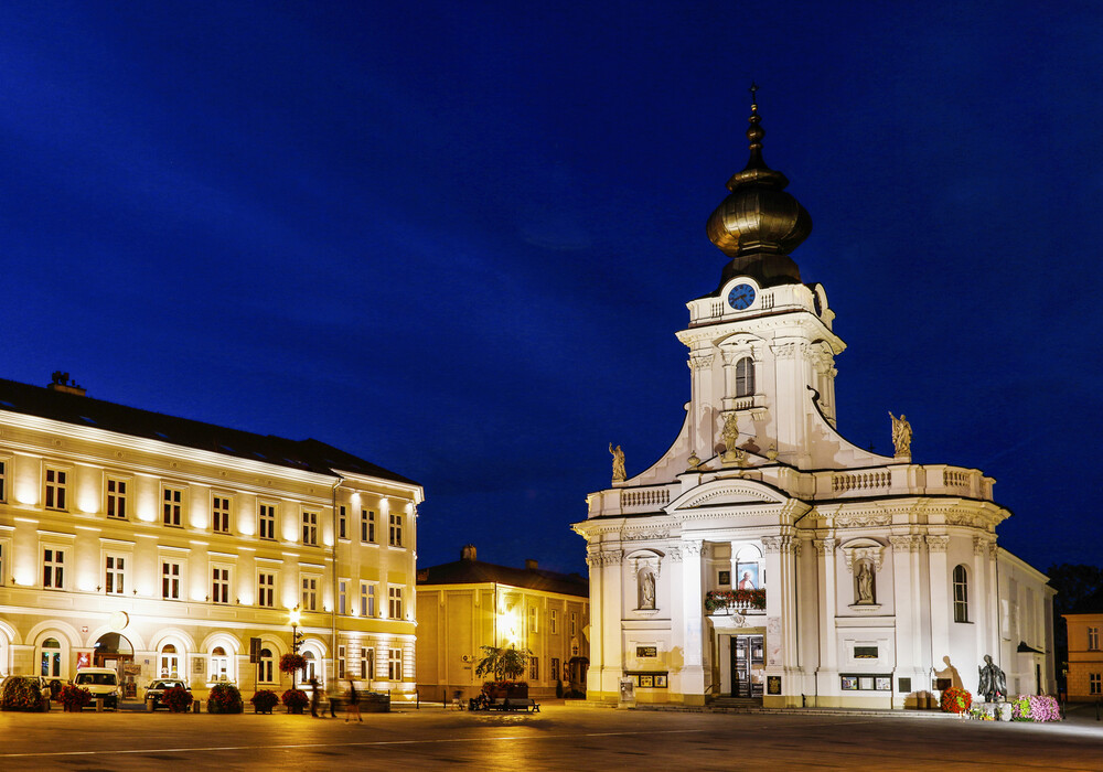 The Basilica of the Presentation of the Blessed Virgin Mary in Wadowice